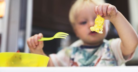 fussy eaters