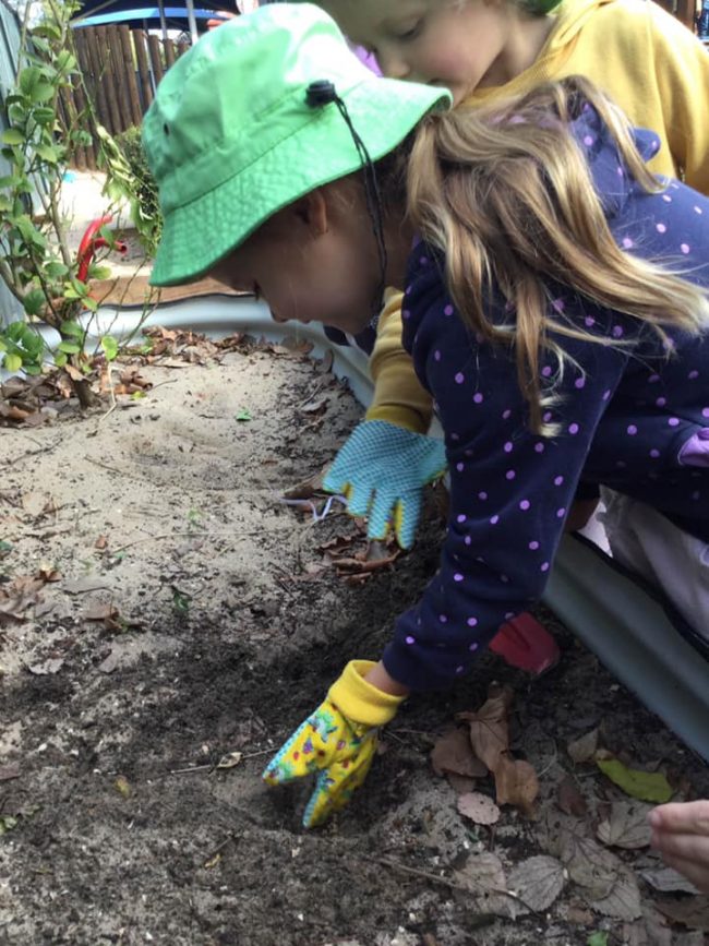 tillys childcare waratah 1