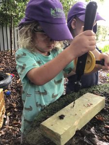 Tillys Childcare Waratah 2