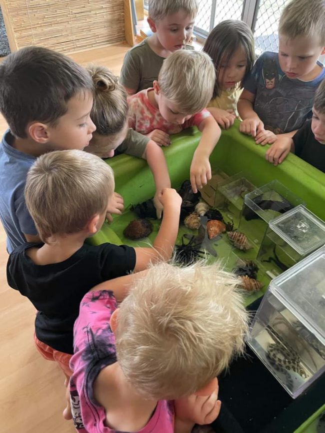 tillys-childcare-bolwarra tillys-childcare-bolwarra