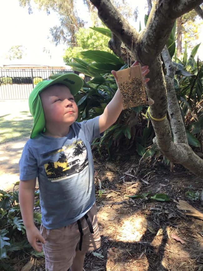 Tillys-childcare-Bolwarra