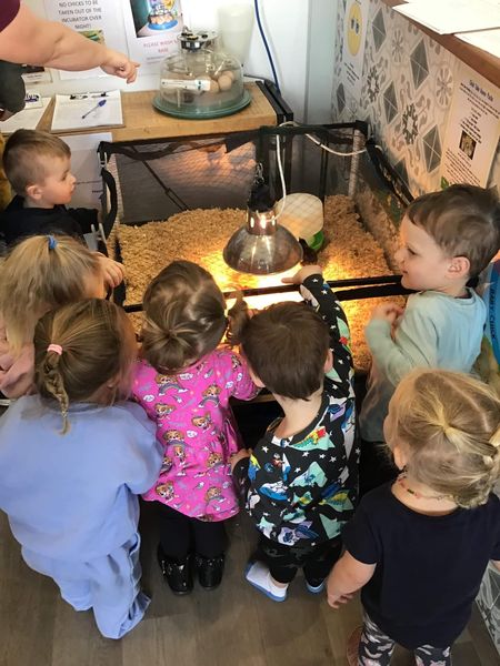 tillys-childcare-rutherford