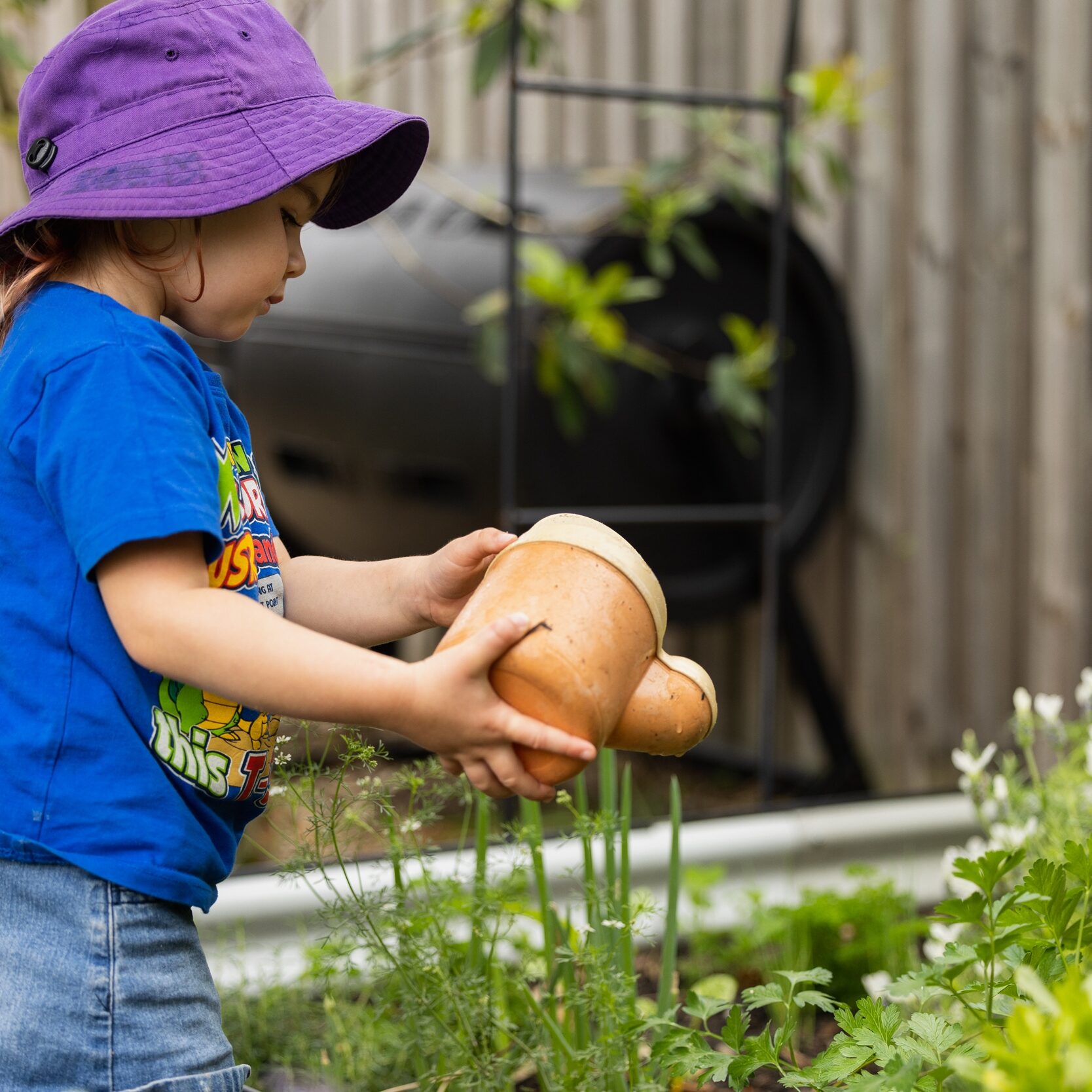 A young child in a purple hat waters plants in a garden. Wearing a blue shirt and denim shorts, the child is focused and gentle, creating a serene scene.