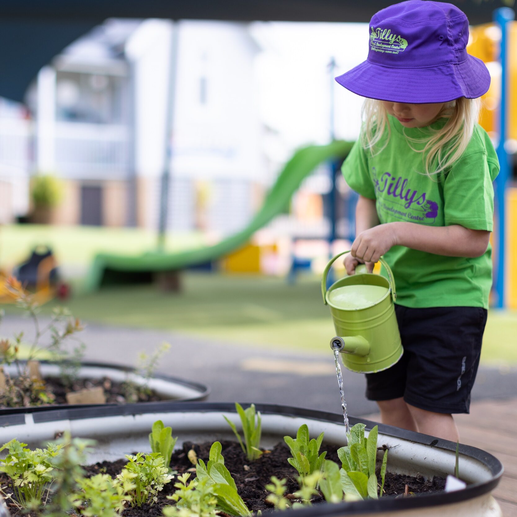 A child in a purple Tillys hat waters plants in a garden bed at a the child care centre. Bright, sunny atmosphere with play equipment in the background.