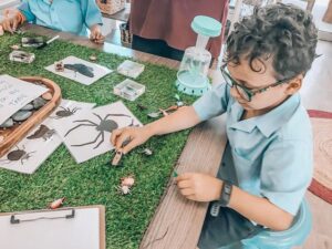 A young child with curly hair and glasses examines insect models on a table with grass-like material, surrounded by insect pictures and educational tools.